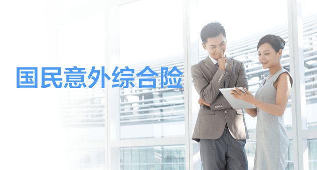 国民意外综合险